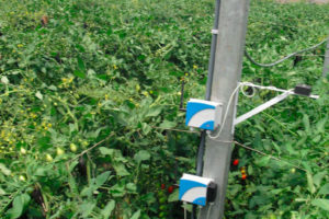 intelliferti7 intelliferti7