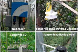 intelliferti_estufa intelliferti_estufa